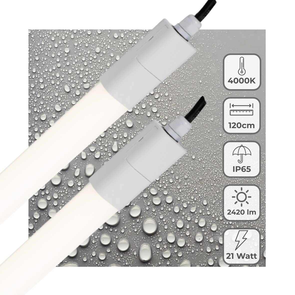 2 PACK - LED's Light LED TL verlichting compleet 120 cm - Geschikt voor buiten en binnen - 2420 lm TL verlichting led.gl