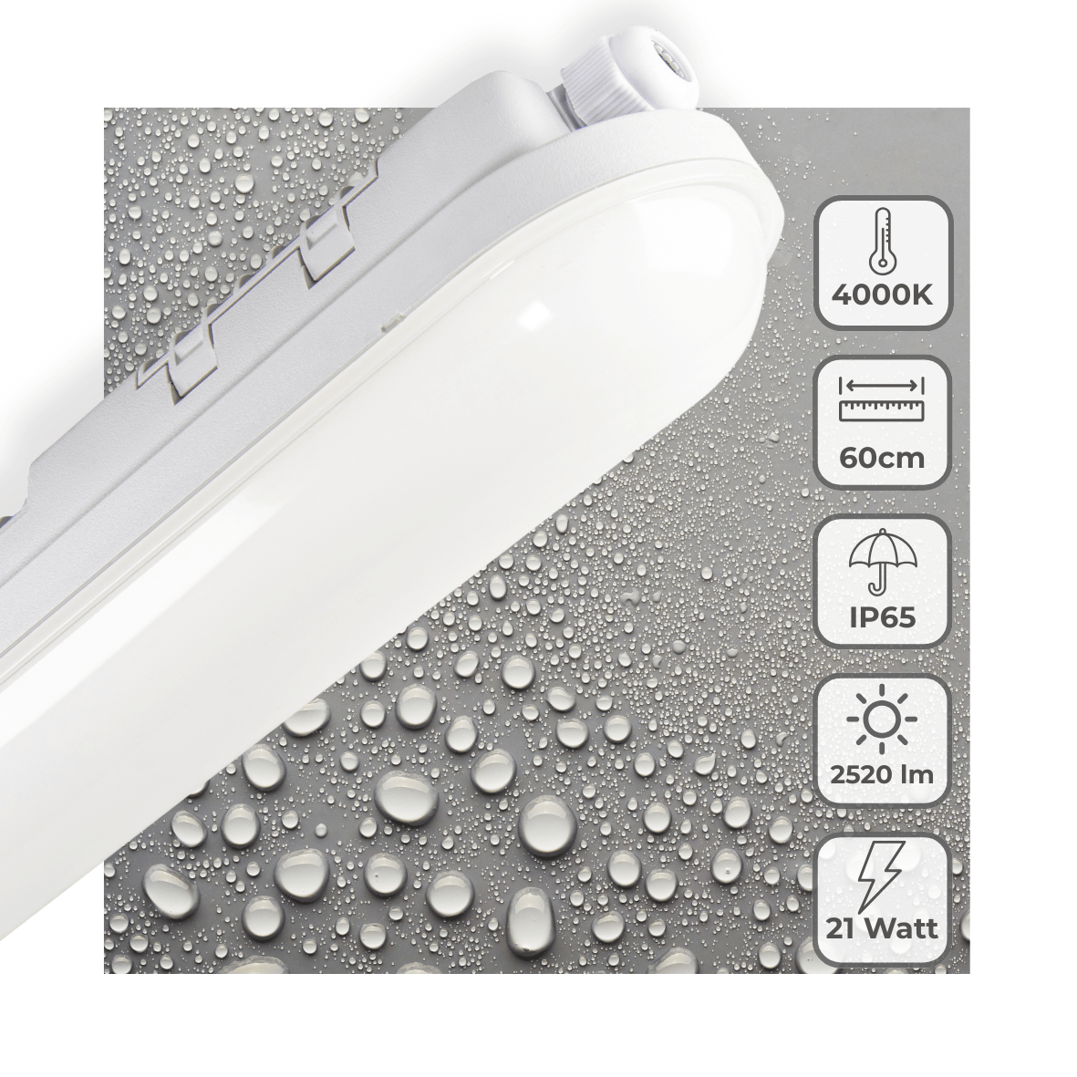 LED's Light Pro TL armatuur 60 cm – Geschikt voor binnen en buiten – 2500 lumen – IP65 waterdicht TL verlichting led.gl