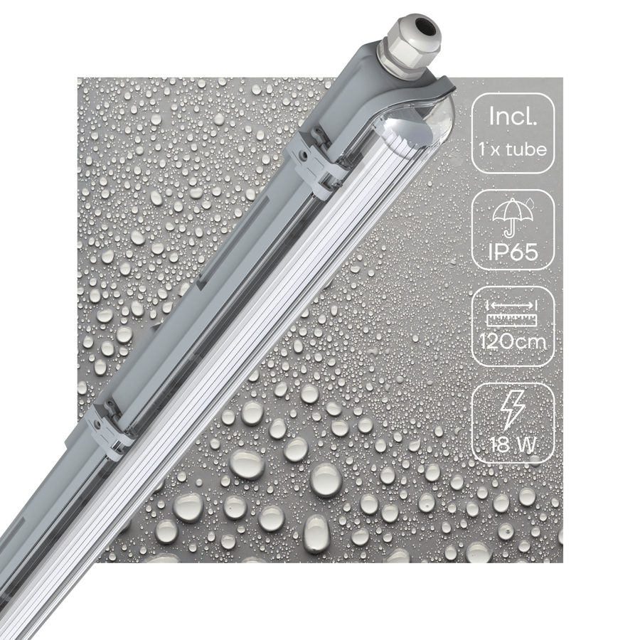 LED's Light LED TL armatuur met lamp 120 cm - Koud wit licht 6500 K - Waterdicht - Complete set TL verlichting led.gl