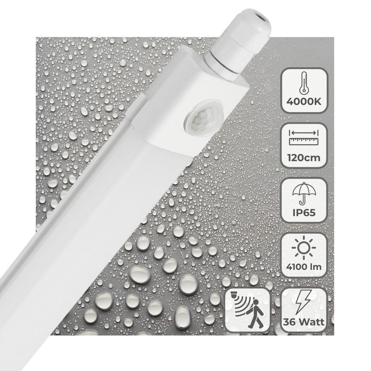 LED's Light LED TL verlichting met sensor 120 cm - Bewegingssensor en bewegingsdetectie - 4100 lm TL verlichting led.gl