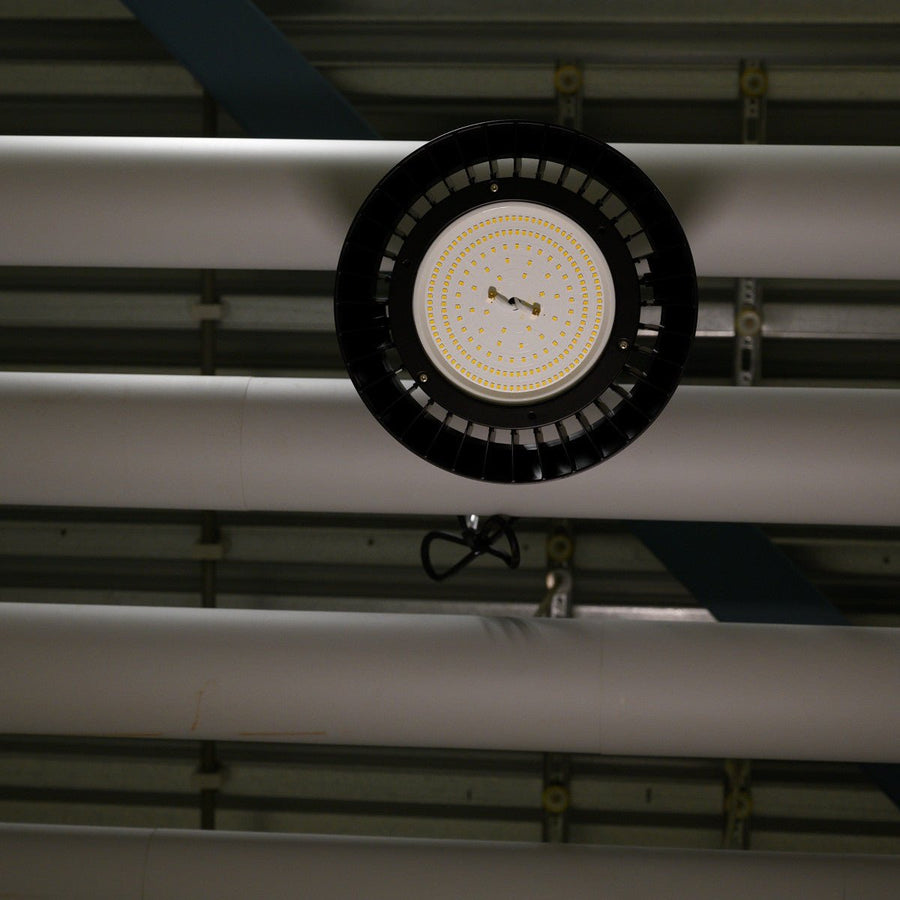 LED's Light pro High Bay - 200W 28000lm 4000K - Cree LED - Dimbaar 1-10V - High bays led.gl