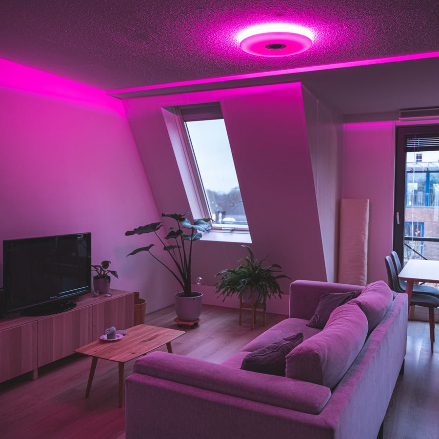 VoiceControl LED Plafondlamp 50 cm met Google Nest & Amazon Echo Dot houder - Bedienbaar met App Slimme lampen led.gl