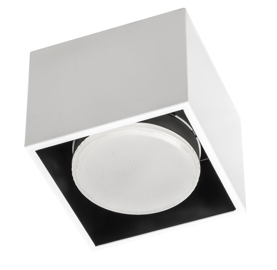 LED's Light Cube LED Plafondlamp - 1 lichtpunt - Draaibaar licht - Staal - 10 x 8 cm - Wit Plafondlampen led.gl