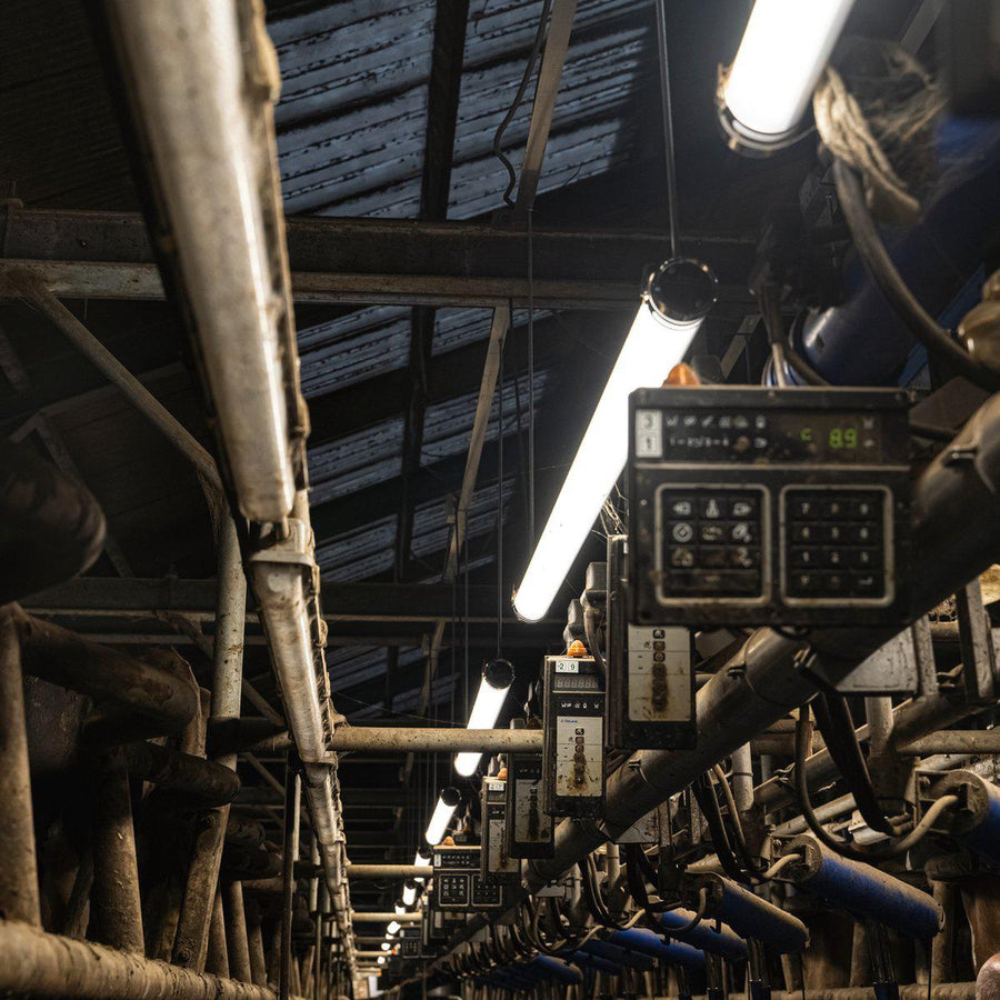 FarmPro LED TL armatuur 150 cm - Agrarische LED TL verlichting - Ammoniak- en waterbestendig - IP69K TL verlichting led.gl