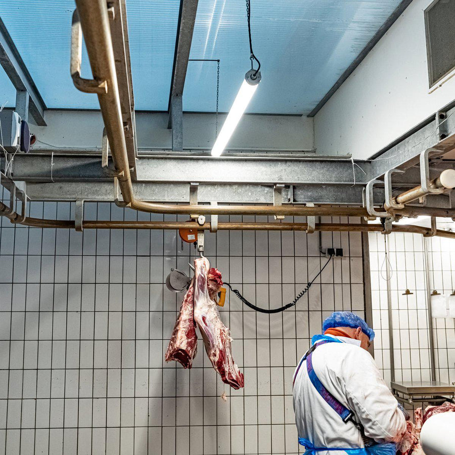 FarmPro LED TL armatuur 150 cm - Agrarische LED TL verlichting - Ammoniak- en waterbestendig - IP69K TL verlichting led.gl