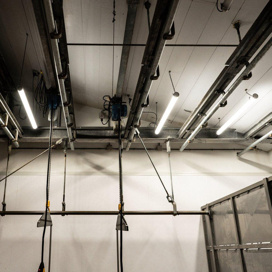FarmPro LED TL armatuur 150 cm - Agrarische LED TL verlichting - Ammoniak- en waterbestendig - IP69K TL verlichting led.gl