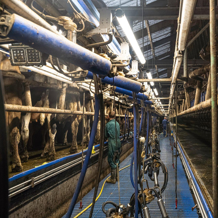 FarmPro LED TL armatuur 150 cm - Agrarische LED TL verlichting - Ammoniak- en waterbestendig - IP69K TL verlichting led.gl