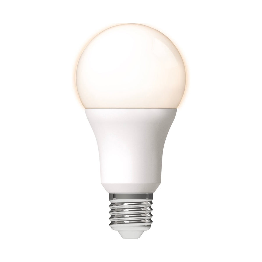 LED Lamp E27 - Mat - Warm wit - 13W vervangt 100W Lichtbronnen led.gl