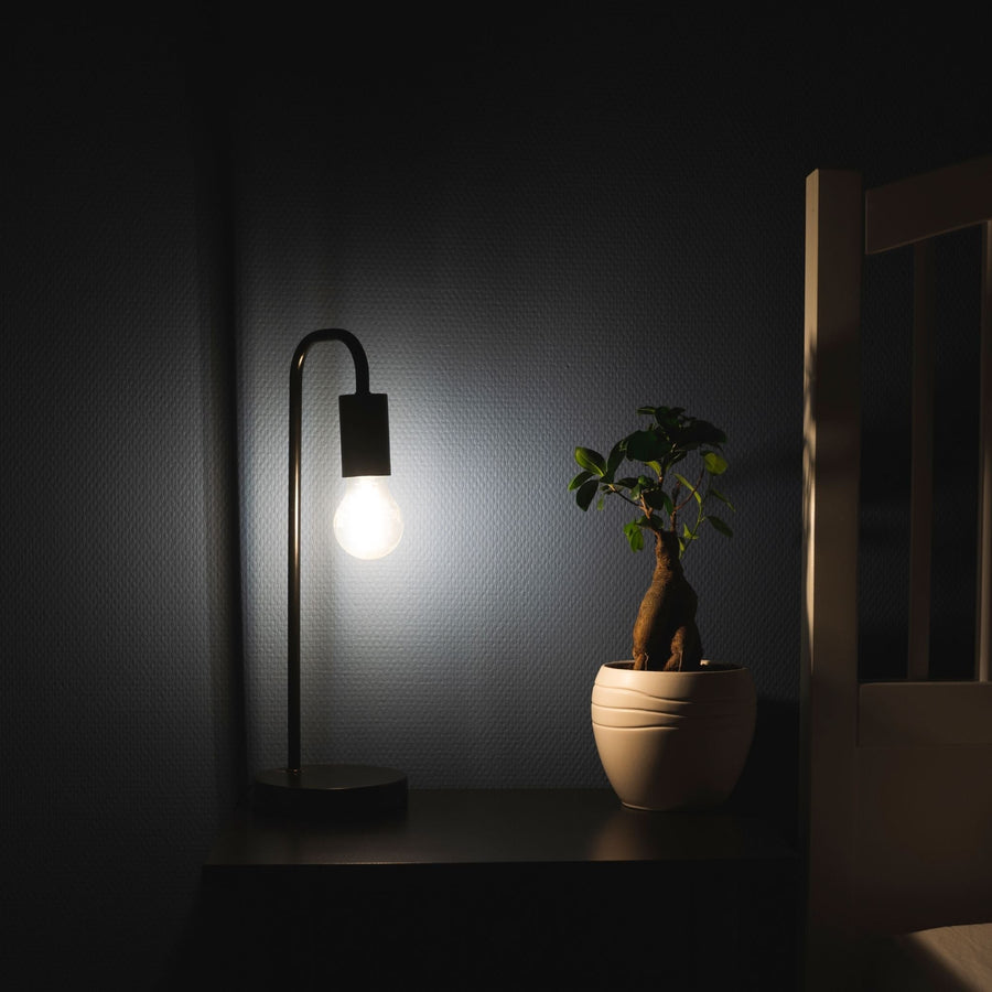 Dimbare LED filament lamp - E27 fitting - Dimbaar warm wit licht - Classic Lichtbronnen led.gl