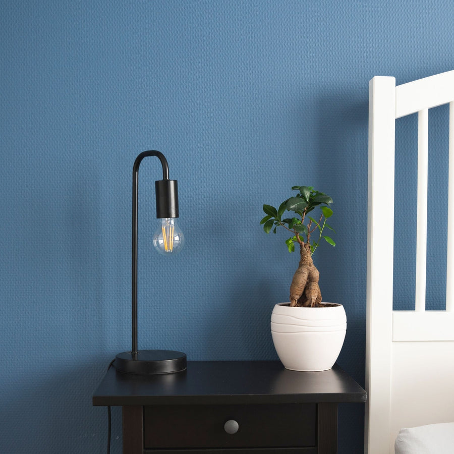 Dimbare LED filament lamp - E27 fitting - Dimbaar warm wit licht - Classic Lichtbronnen led.gl
