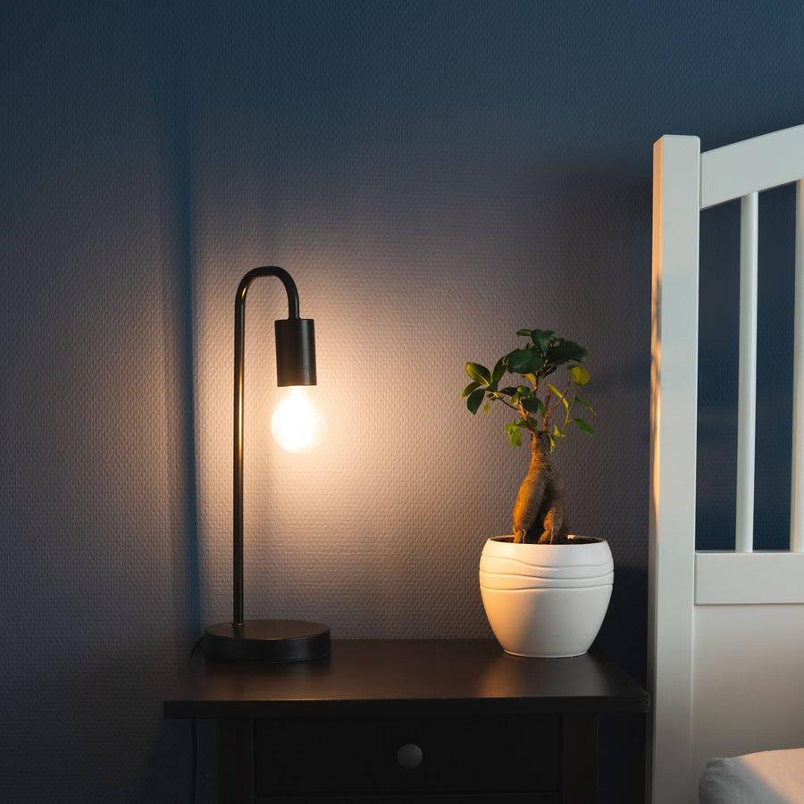 Dimbare LED filament lamp - E27 fitting - Dimbaar warm wit licht - Classic Lichtbronnen led.gl