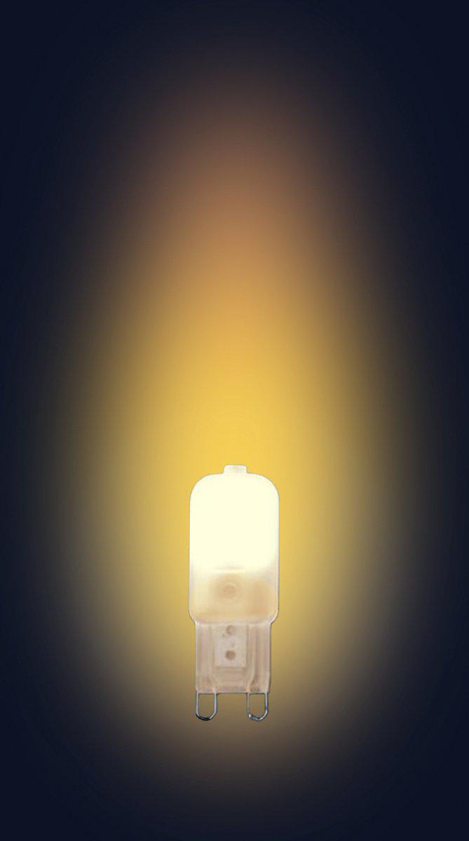 LongLife LED G9 Steeklampjes - Mat - 2W vervangt 20W - Warm wit licht Steeklampjes led.gl