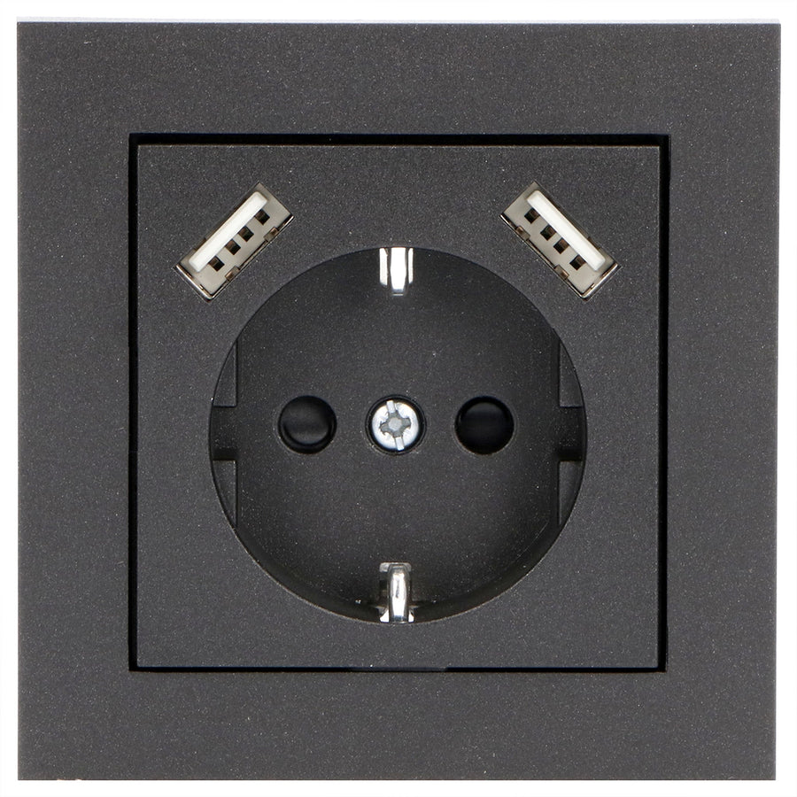 Reflex Inlegplaat voor wandcontactdoos met 2 USB - Zwart Stekkers led.gl