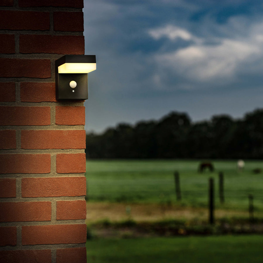 LED's Light RVS Solar LED Muurlamp met Bewegingssensor - Draadloos - Vierkant - 3 standen - Zwart Buitenlampen led.gl