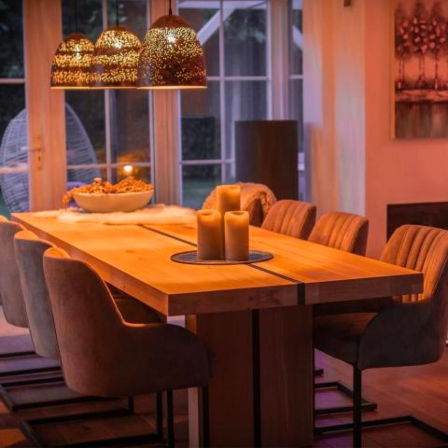 Smart LED Lamp E27 helder - Dimbaar warm wit licht - Bedienbaar met App Slimme lampen led.gl